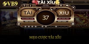 Mẹo Cược Tài Xỉu Dành Cho Các Cược Thủ Muốn Làm Giàu